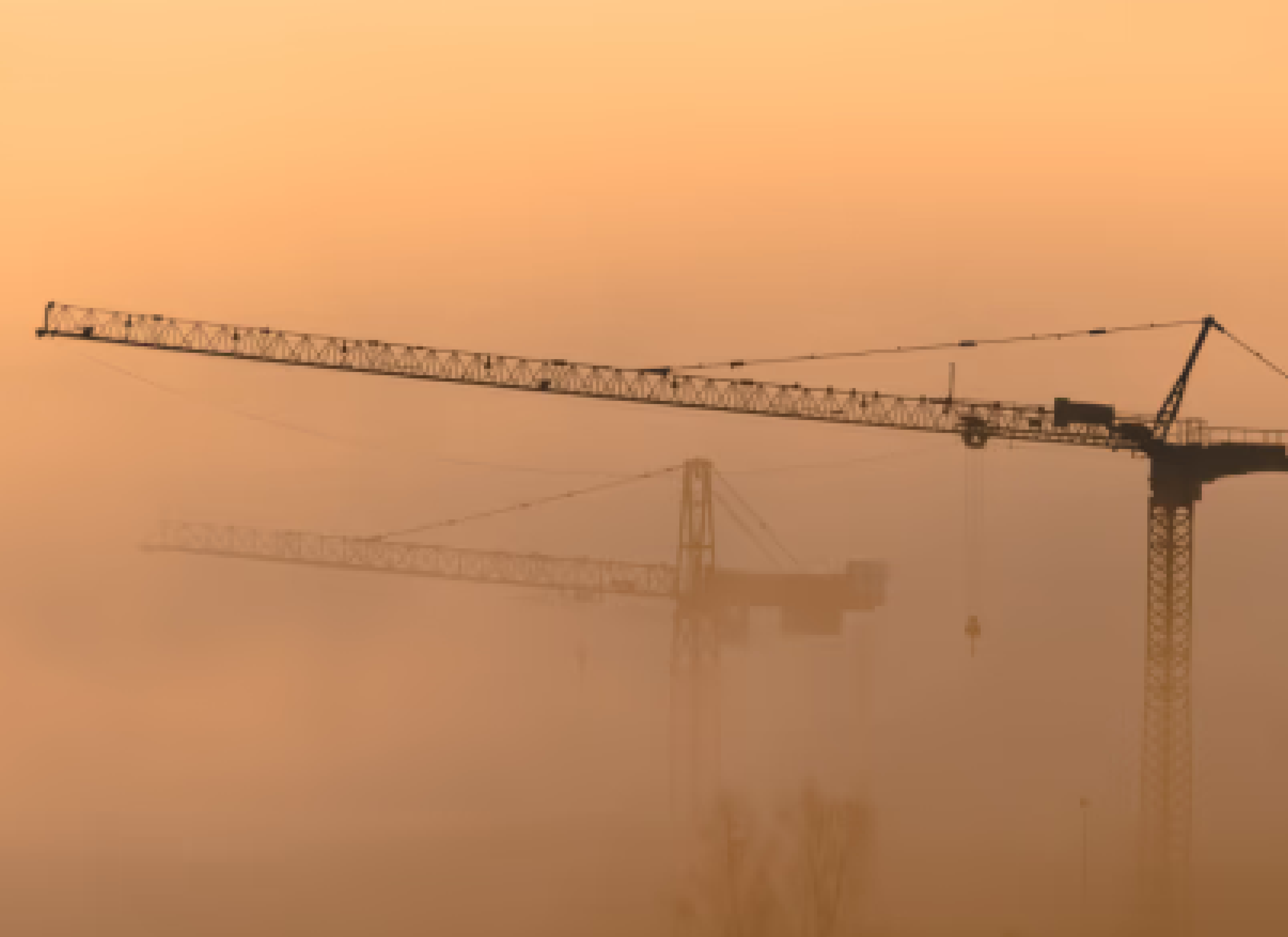 Cranes in fog
