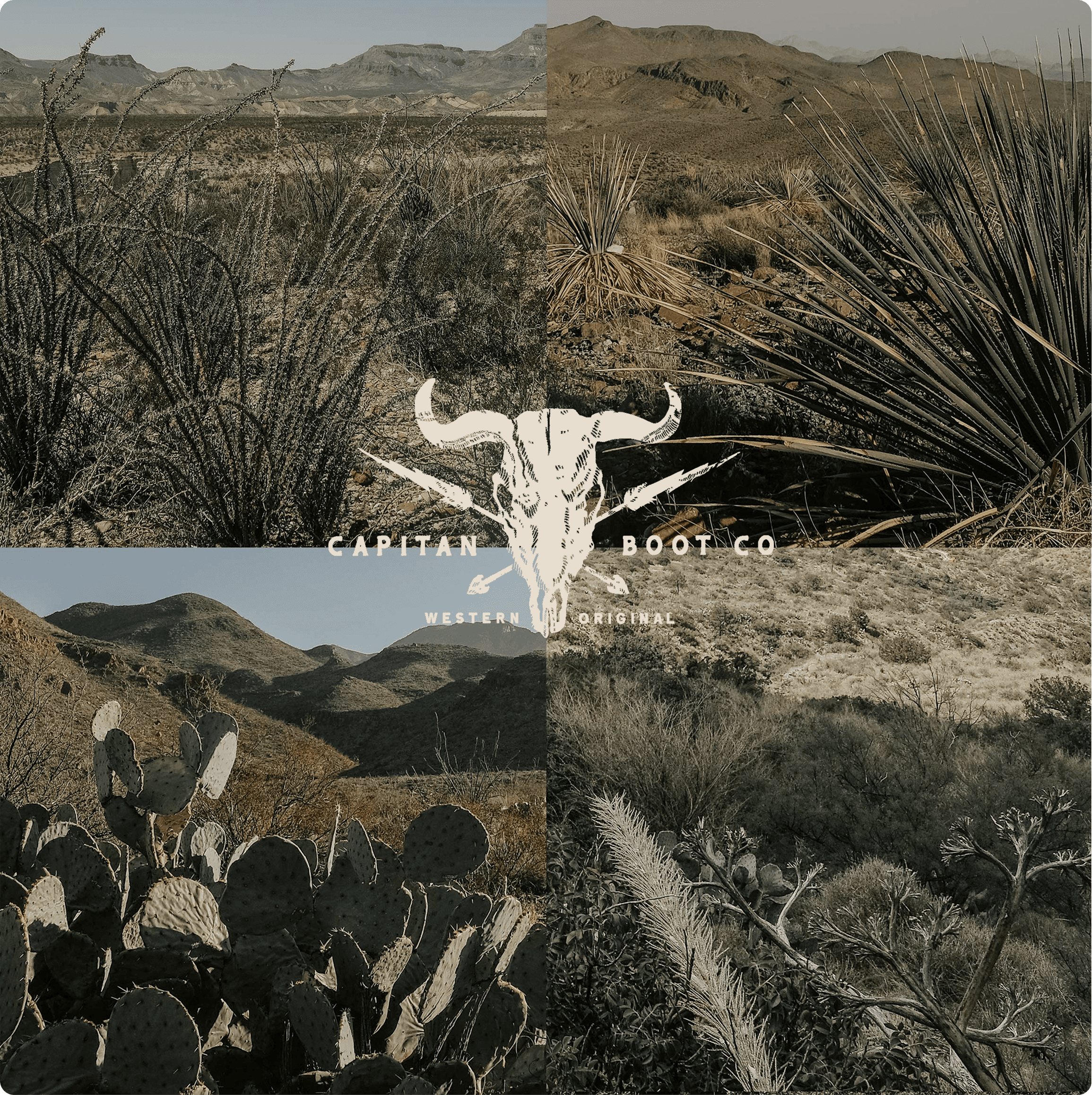 Fashion collage featuring 2017 collections from JW Anderson, Valentino, and Simone Rocha with tropical palm leaves