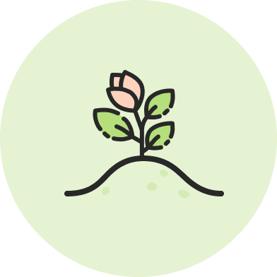 A budding flower, symbolizing progress and development