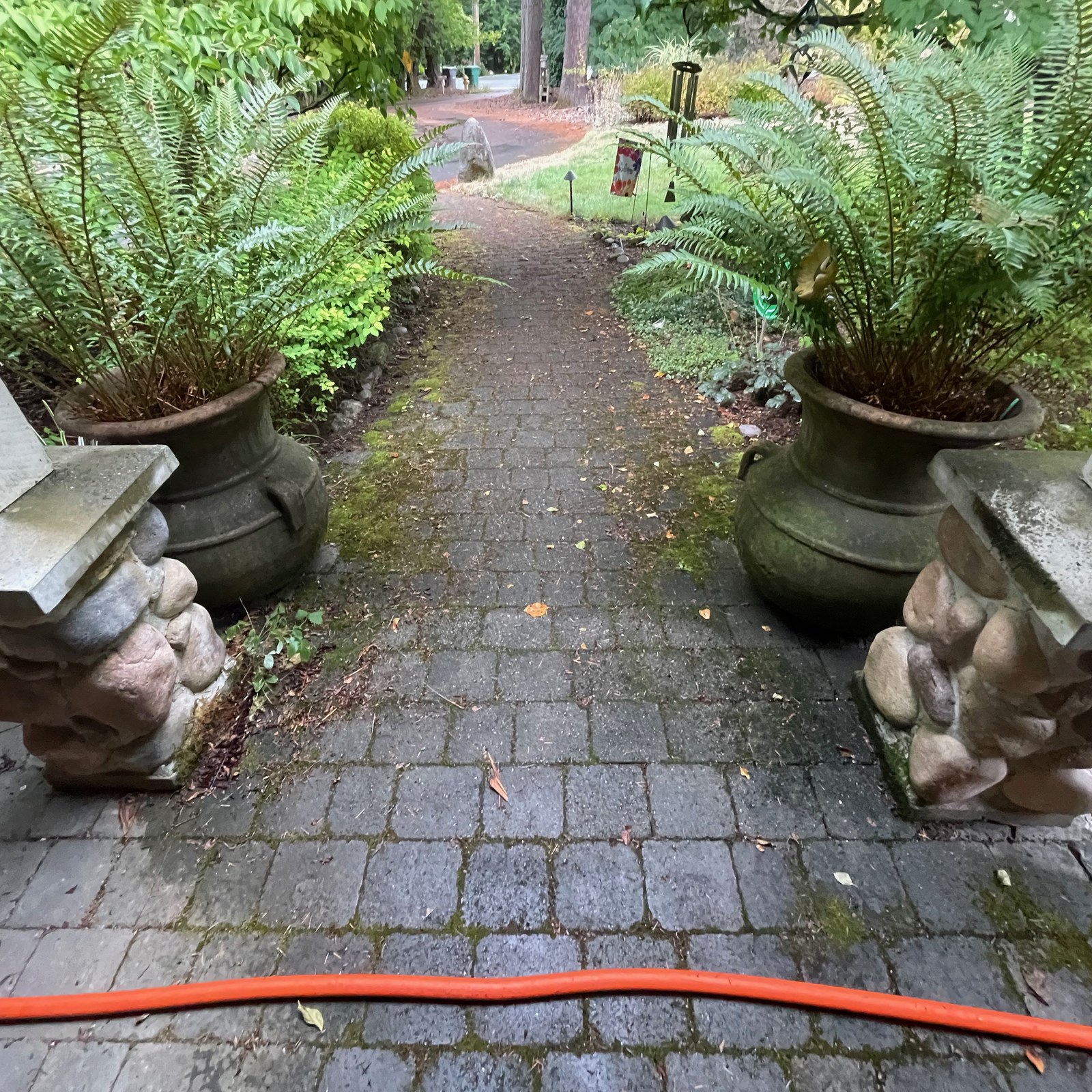 Before: paver walkway pressure washing in Bothell, WA