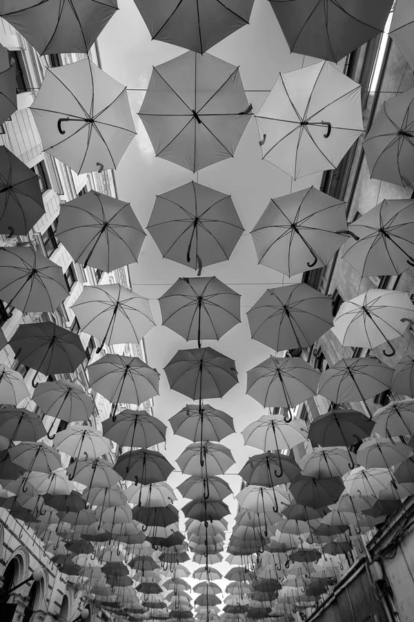 Exclusive jet charter to Timisoara - Bega River Union Square Liberty Square