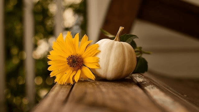 8 Sales Contests for November