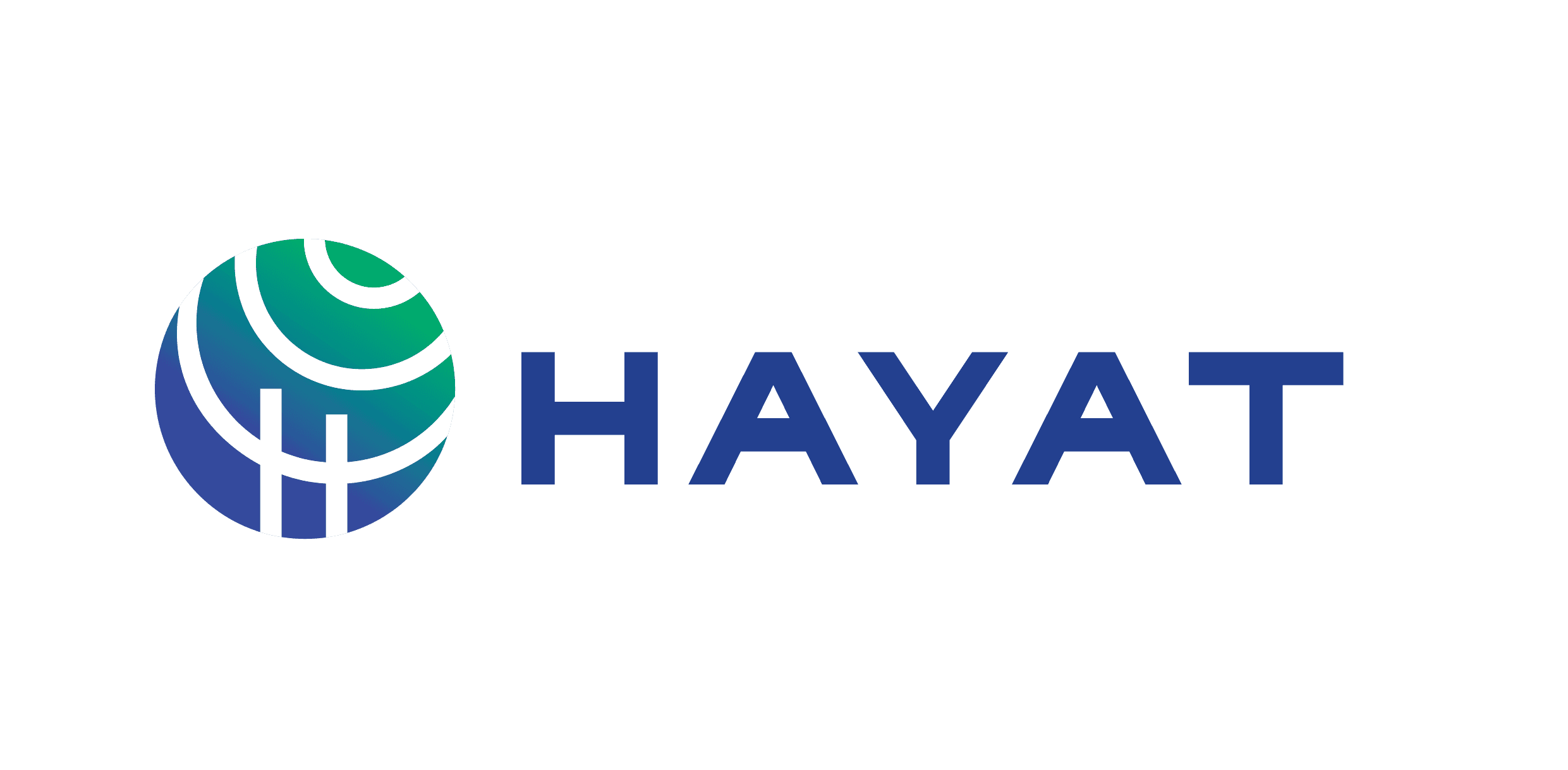 Hayat Holding