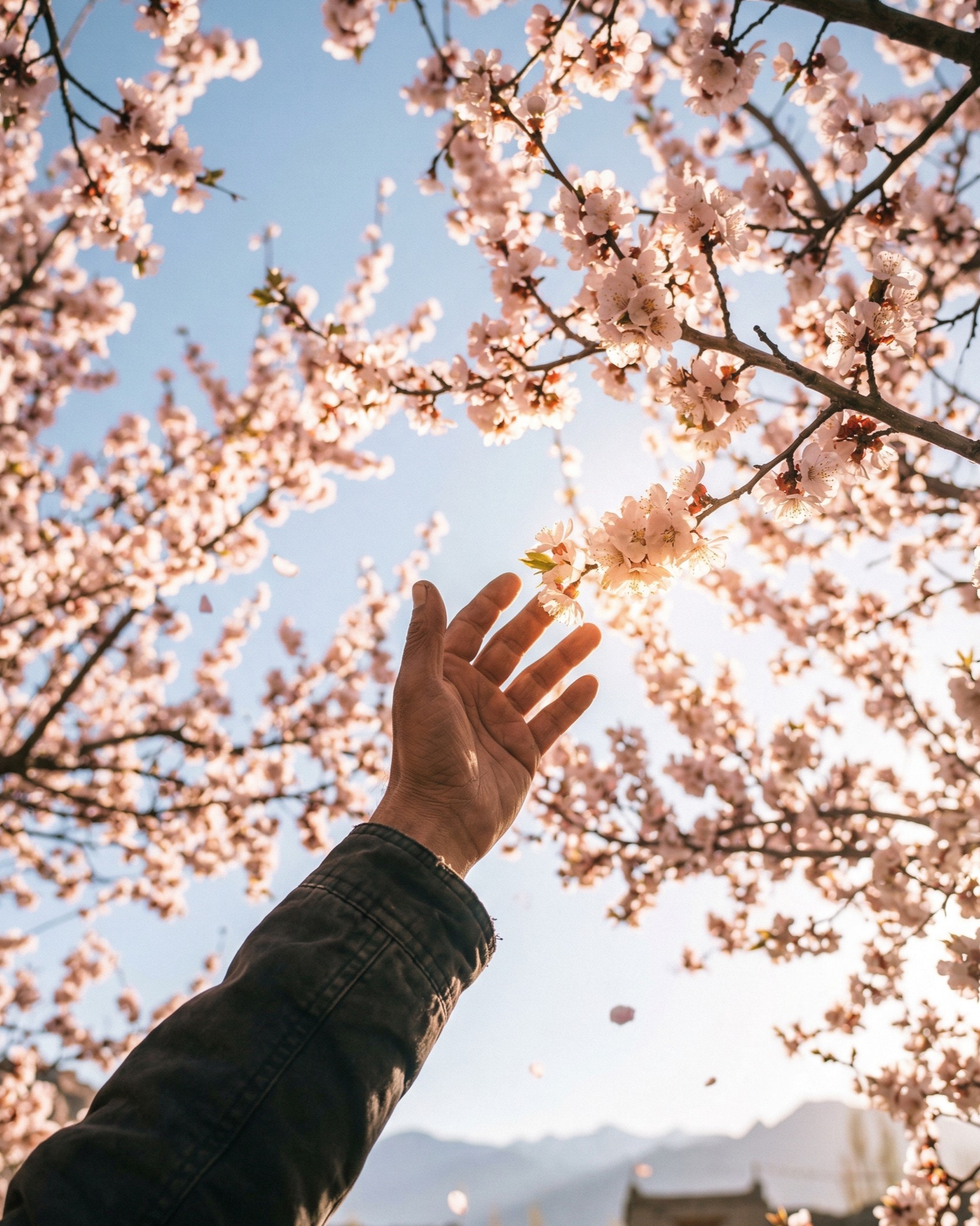a black and white living room with a large tv