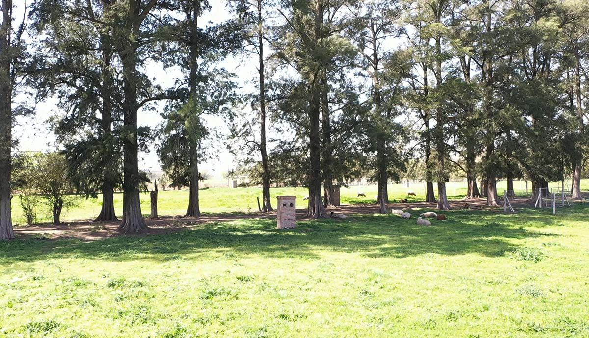 Lotes Para Todos - Las Magnolias