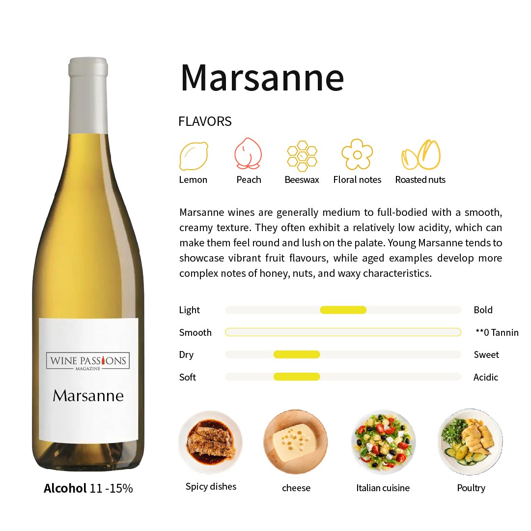 Introduction to the Marsanne grape variety   Recommended Marsanne wines   Flavor characteristics of Marsanne   Differences between Marsanne and Roussanne   Main producing countries of Marsanne   Marsanne in the Rhône Valley, France   Hermitage Marsanne wines   Tahbilk Marsanne options   How to taste Marsanne   Food pairings with Marsanne       Aging potential of Marsanne   Marsanne as a niche wine   Tips for storing Marsanne bottles   Marsanne and sweet white wines   Where does Marsanne come from   Marsanne wine reviews   Recommended Marsanne wines  