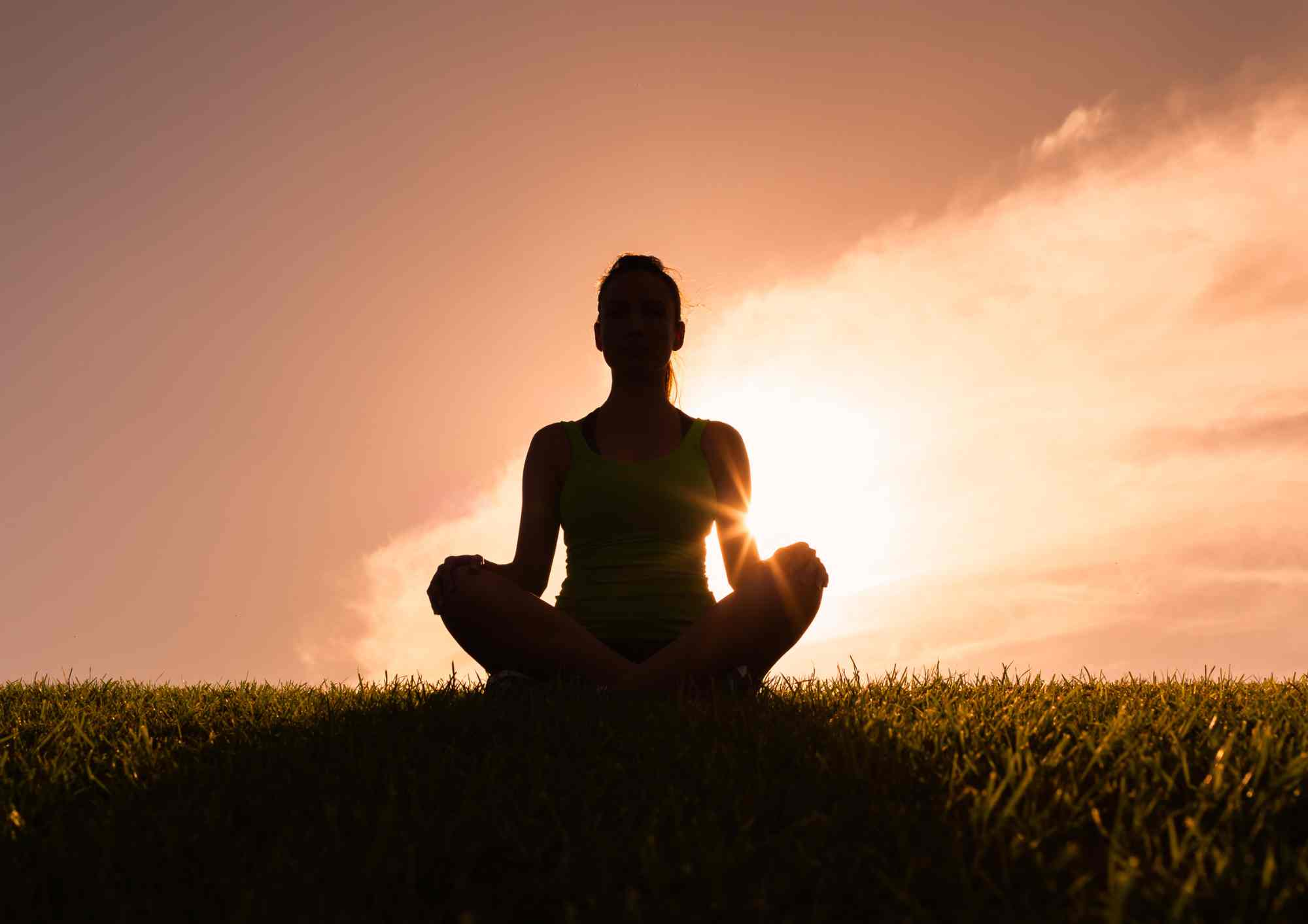 Man meditating indoors surrounded by lush green plants and natural window light.