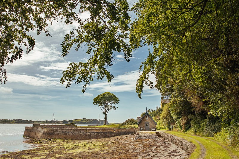 Old Court Stangford Lough 3