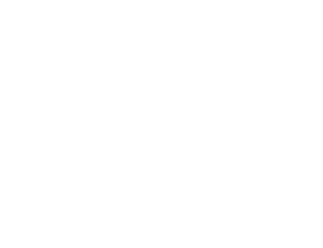 pearson logo