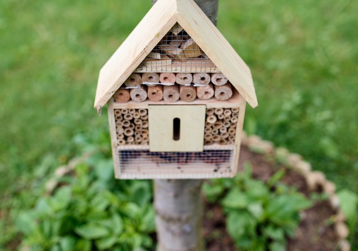 Composting and eco-friendly practices