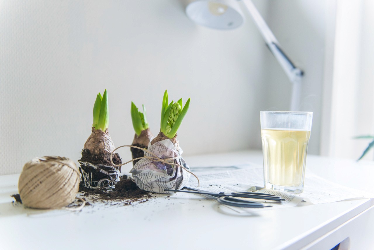 lente styling bloembollen