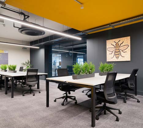 Modern Manchester office space with planting and artwork