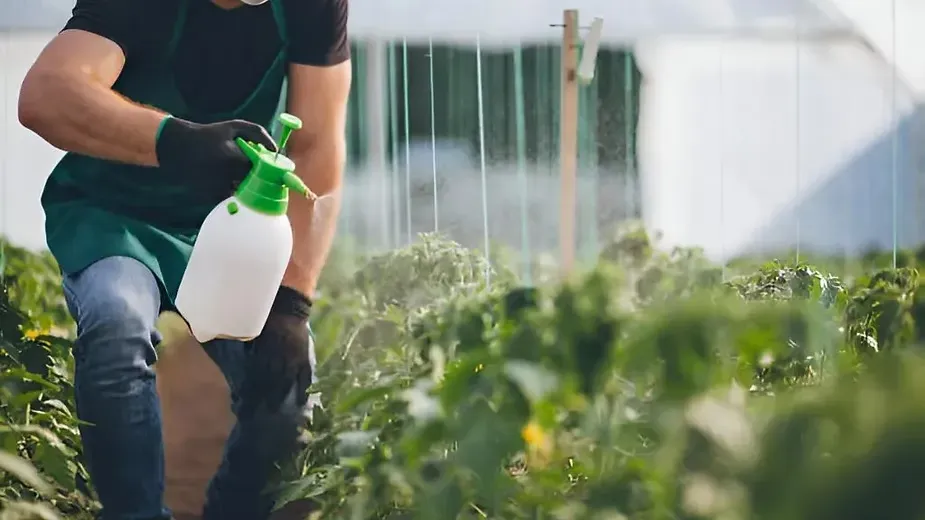 Natural Pest Management Techniques.webp