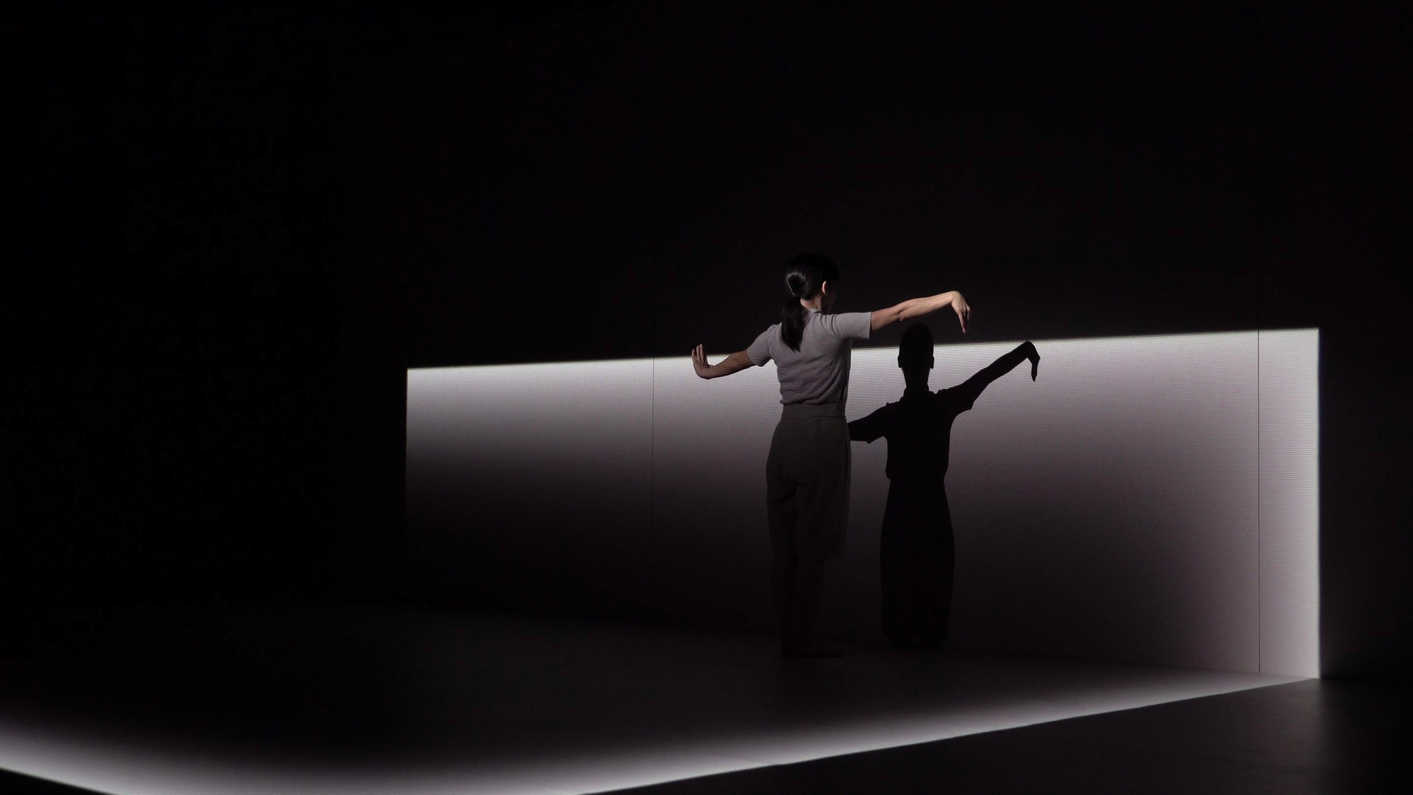 Spektrum - augmented performance installation