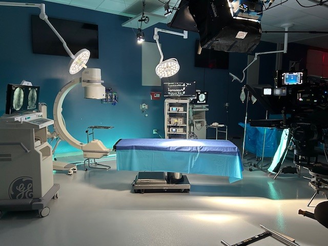 Close-up of a tree stump showing growth rings and a textured brown wood surface.