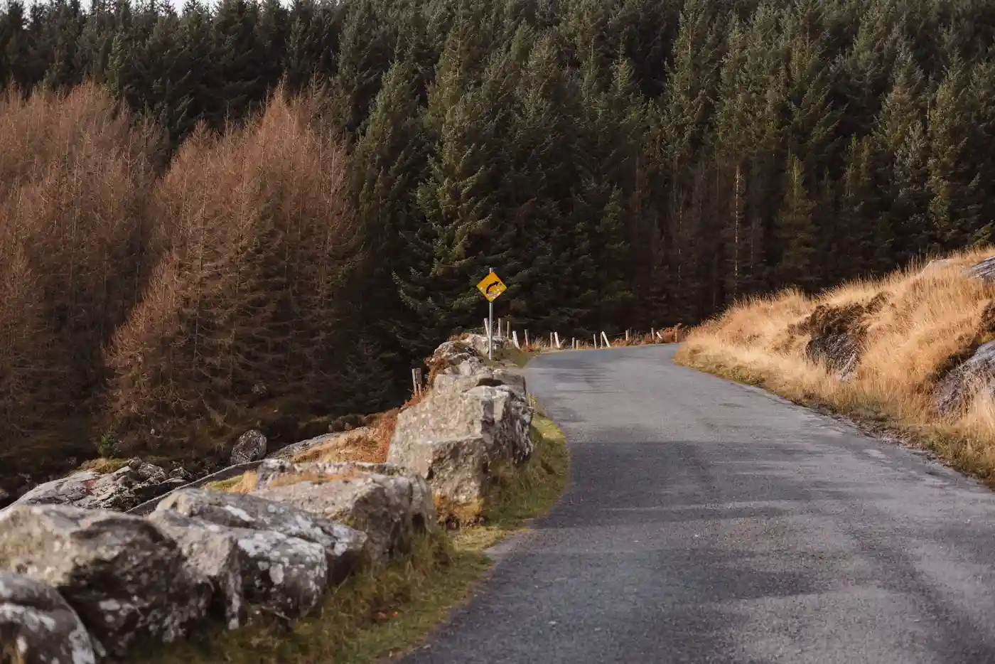 Bus Hire Ireland Roads