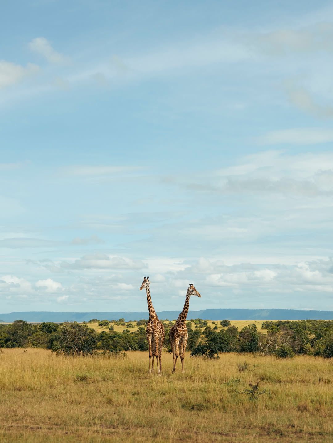 Destination Image