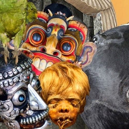 Ripley's Believe It or Not!, Louis Tussad's Waxworks, Ripley's Illusion Lab, Ripley's Moving Theater San Antonio