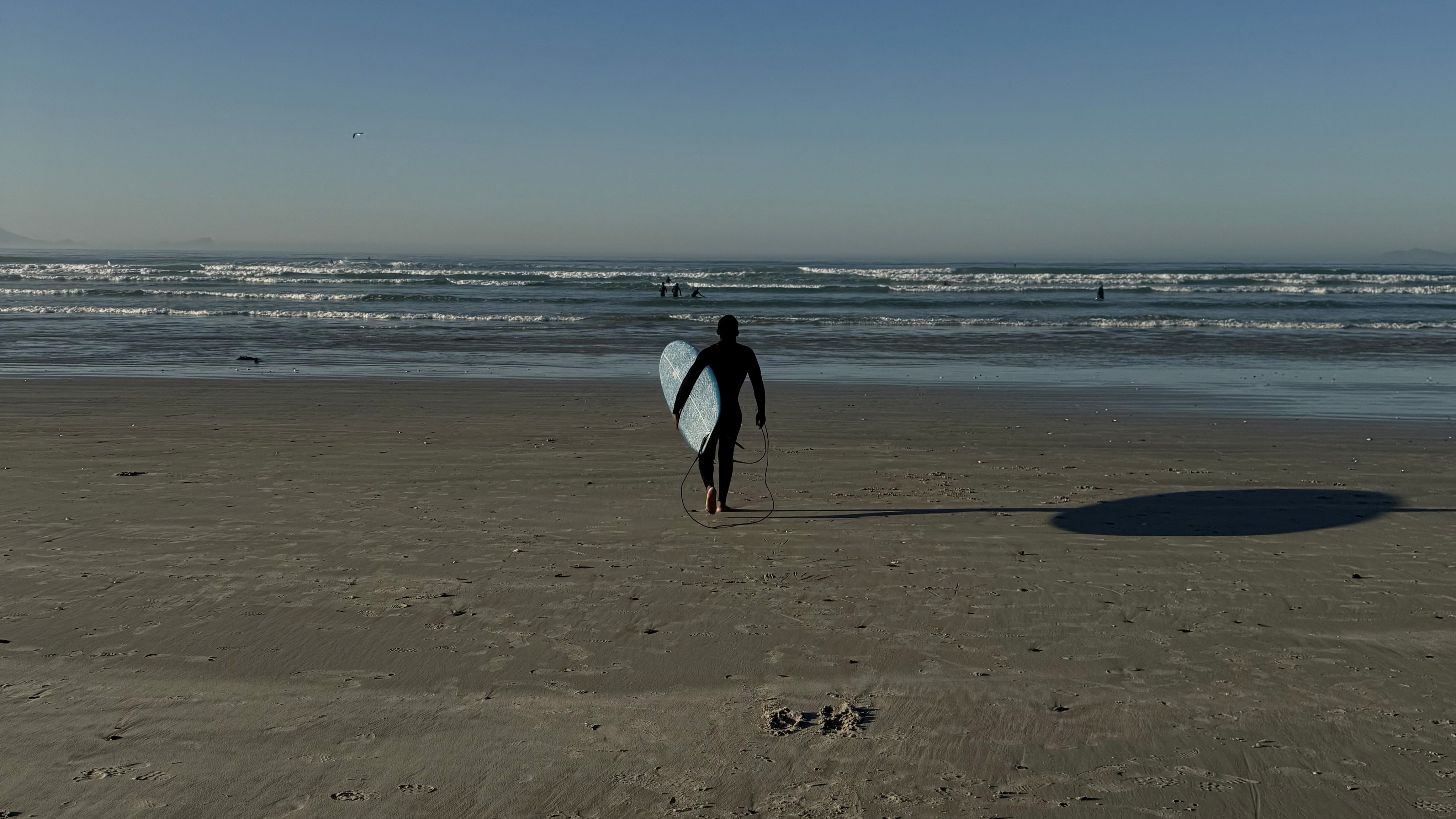 A male surfer carrying his longboard while heading into the water at Muizenberg beach in Cape Town