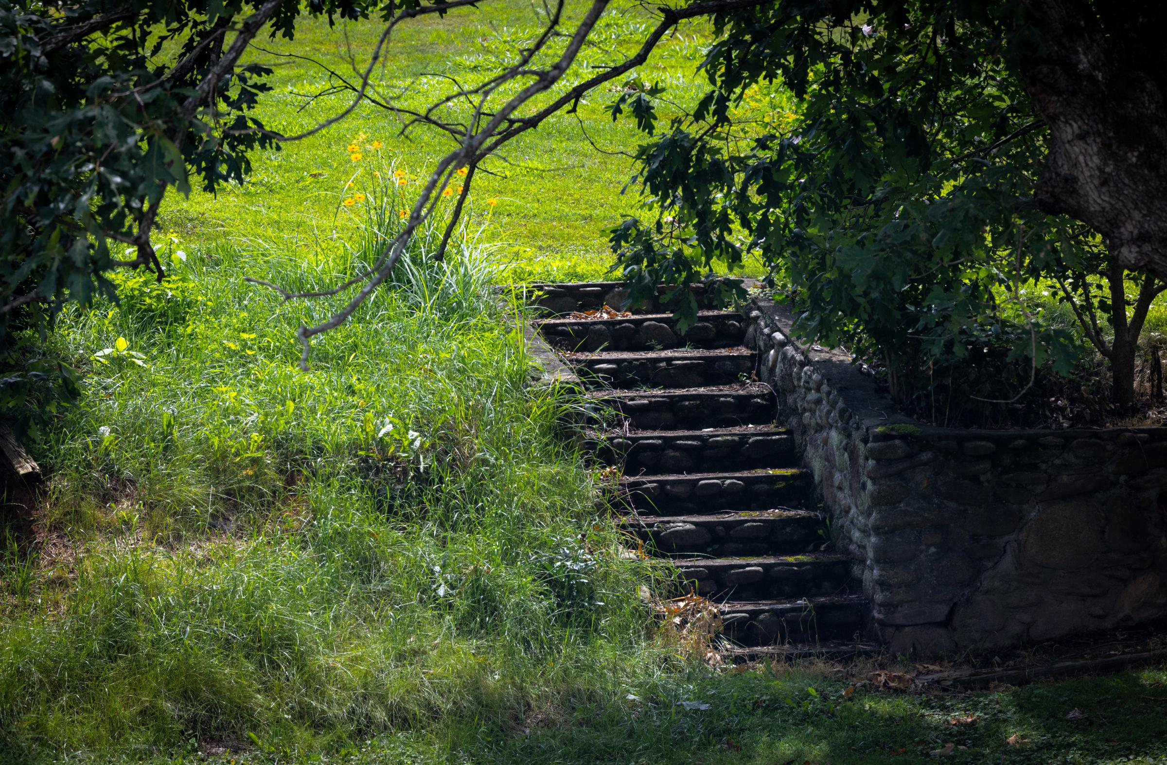 Country Steps