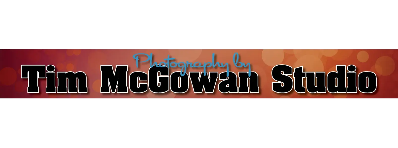 tim-mcgowan-studio-logo