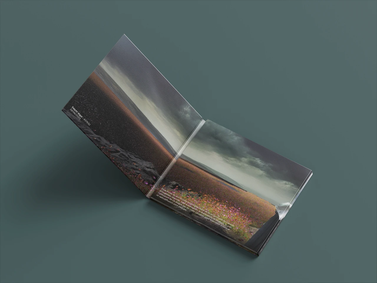 Digipack ouvert de l'album "Ciel gris sur un champs de fleur" du rappeur Léonard Lucian