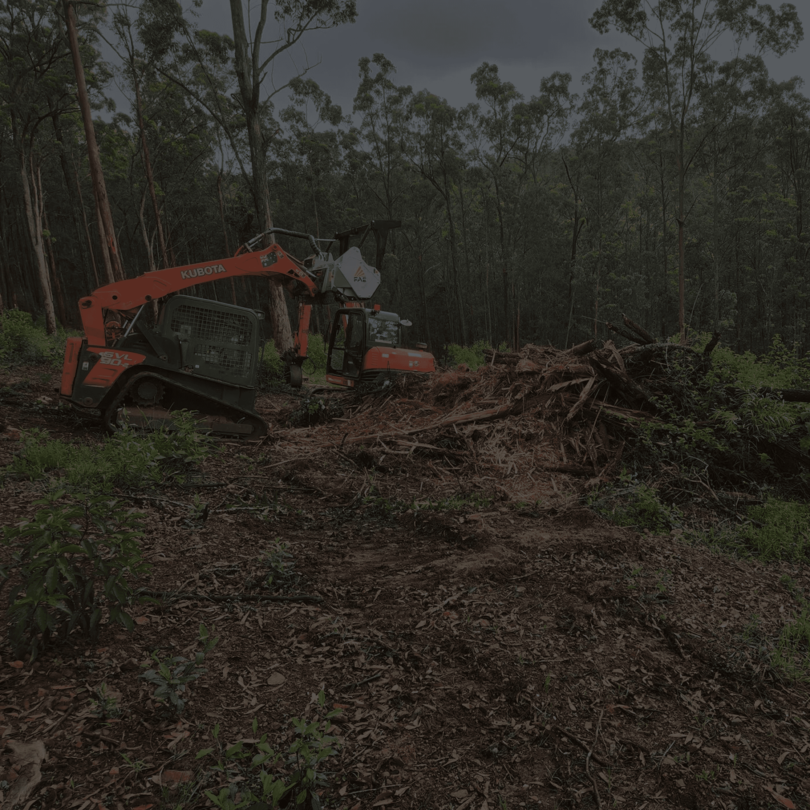 North Star Land Services Excavator