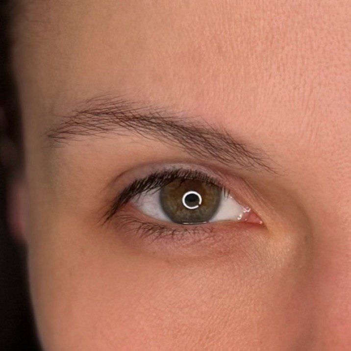 Nano brows before Subbot Beauty Space Boston