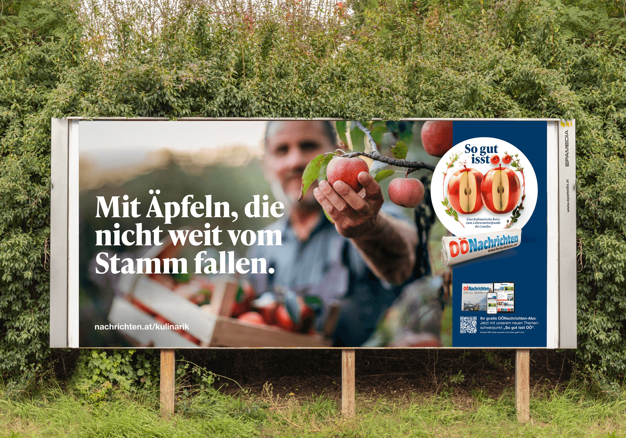 Ein Mann pflückt einen Apfel vom Baum, daneben steht auf dem Plakat der Text „Mit Äpfeln, die nicht weit vom Stamm fallen.