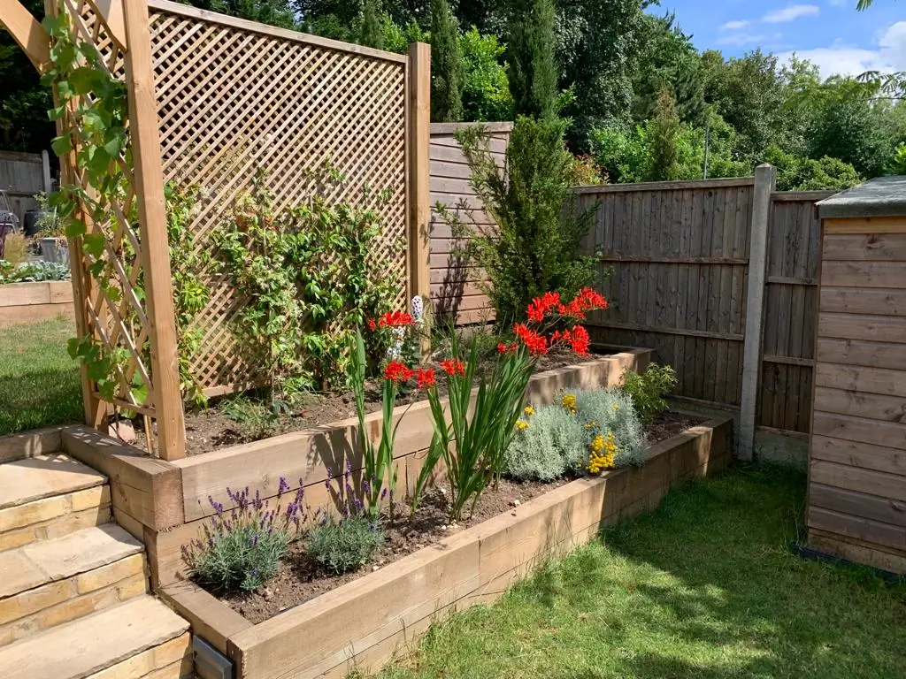 A sunny backyard garden with a stone planter, various plants, and a wooden trellis against a fence.