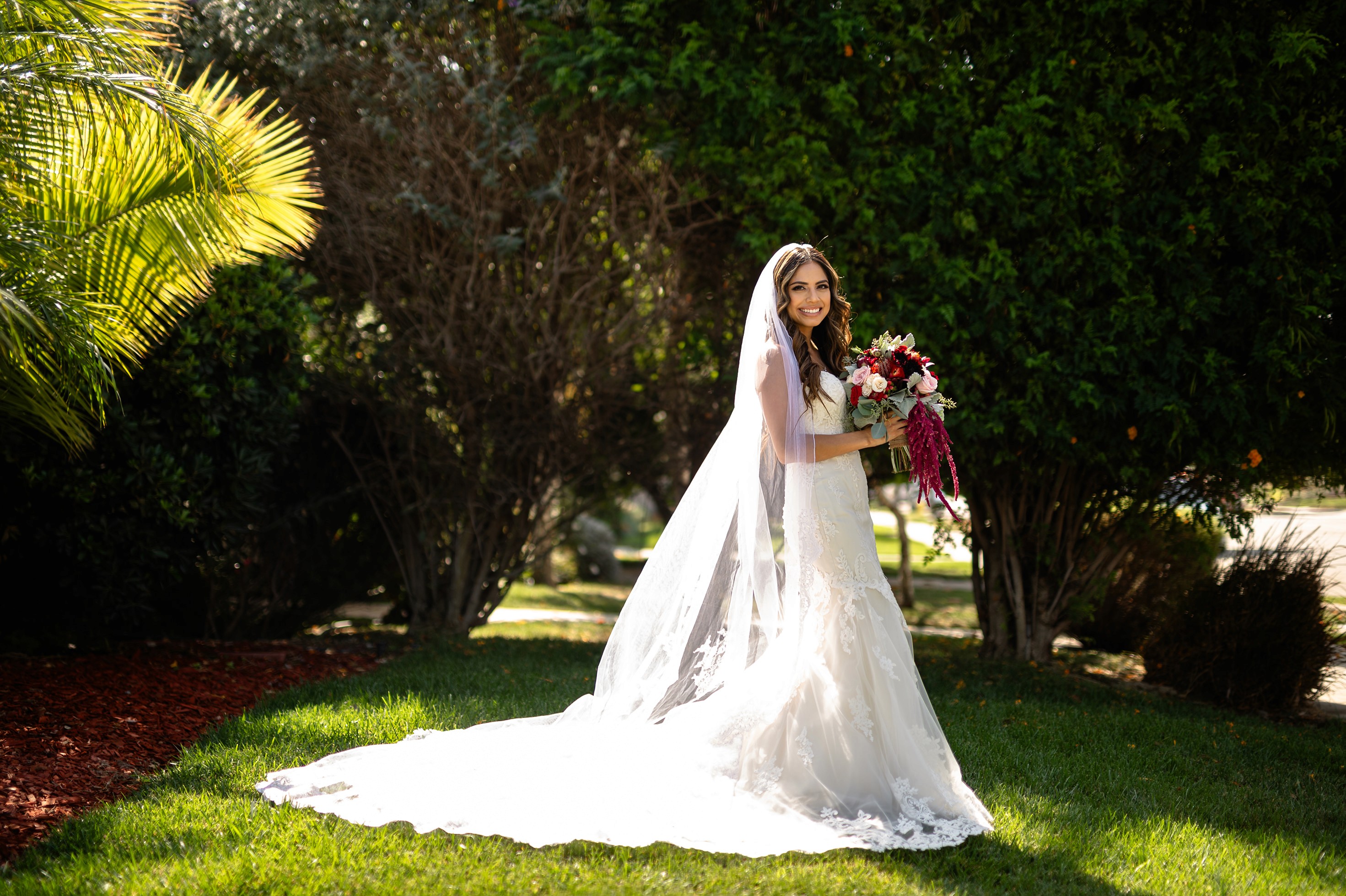 Bride portrait on front lawn with tall hedges behind her