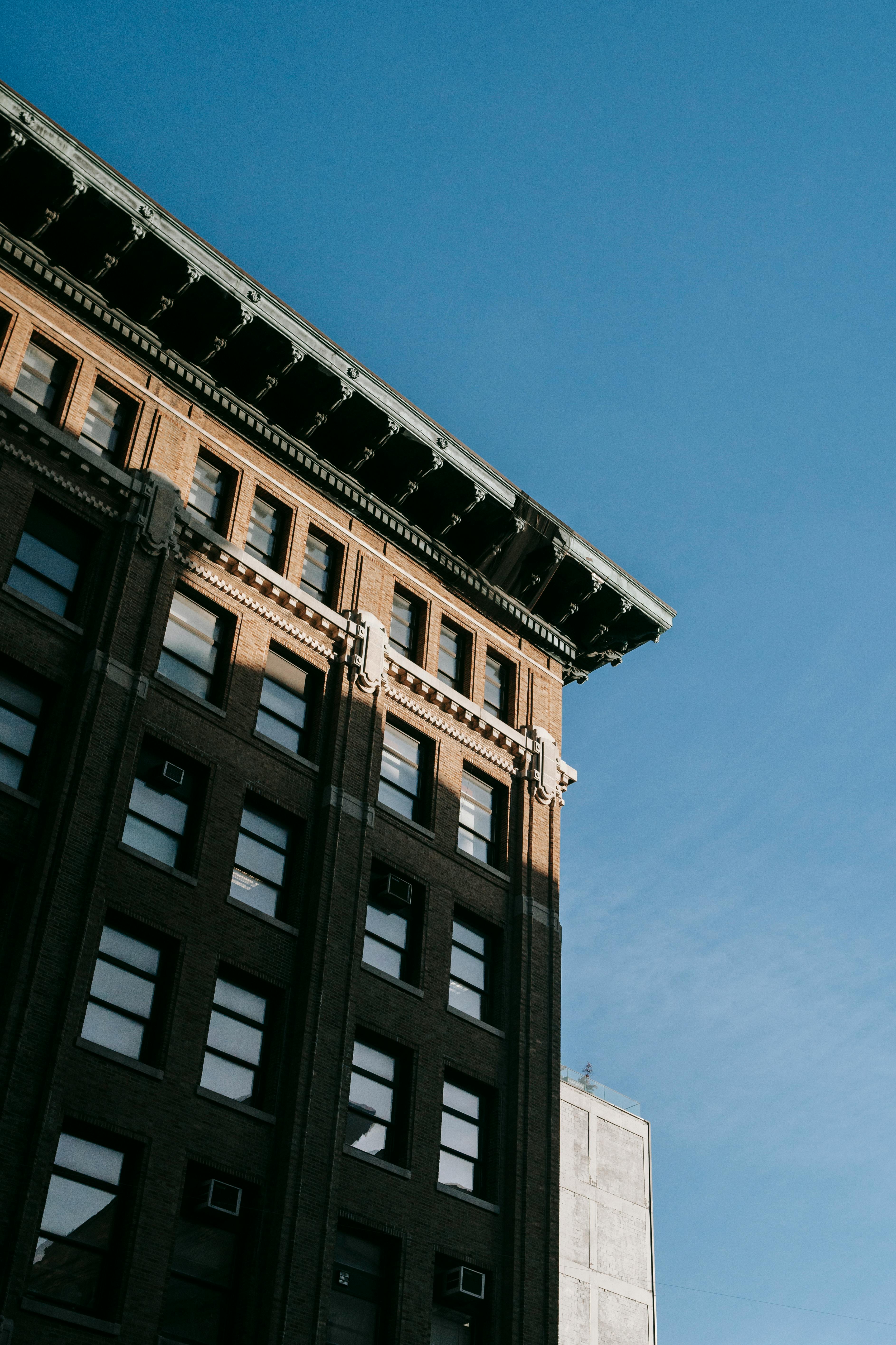 Teal Flower