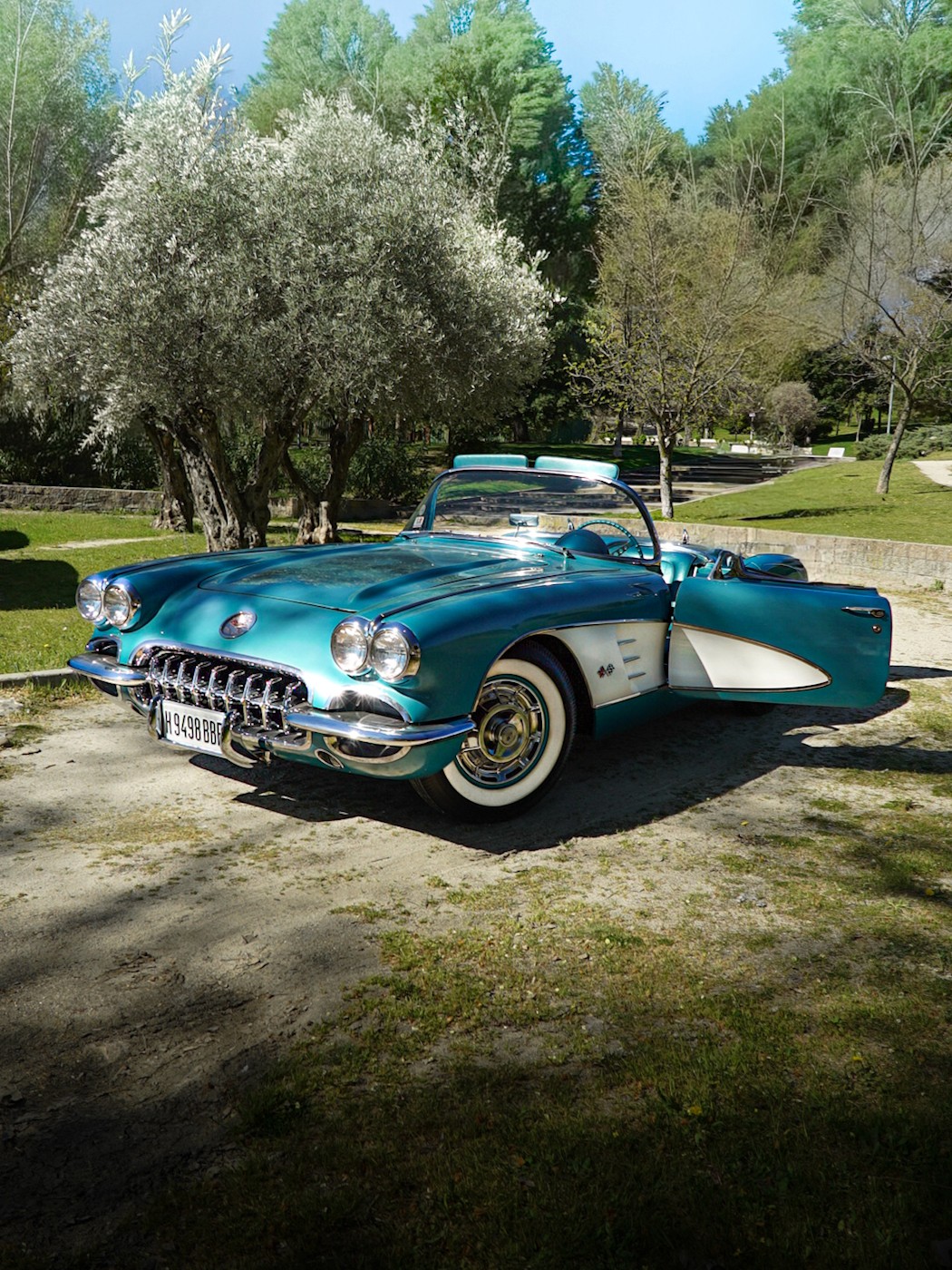 Dazzle Logo with sign vertical