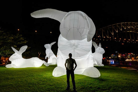 Intrude - Vivid Festival Sydney 2014, Photo Credit Rodney Campbell (Image 1)
