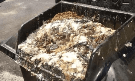 open dumpster with rotting waste