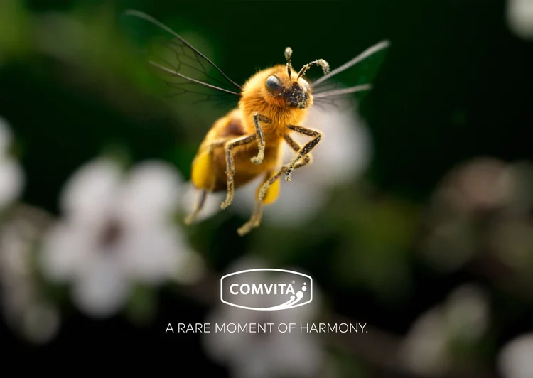 An image of a honey bee flying through the air ofr a brand campaign for Comvita Honey