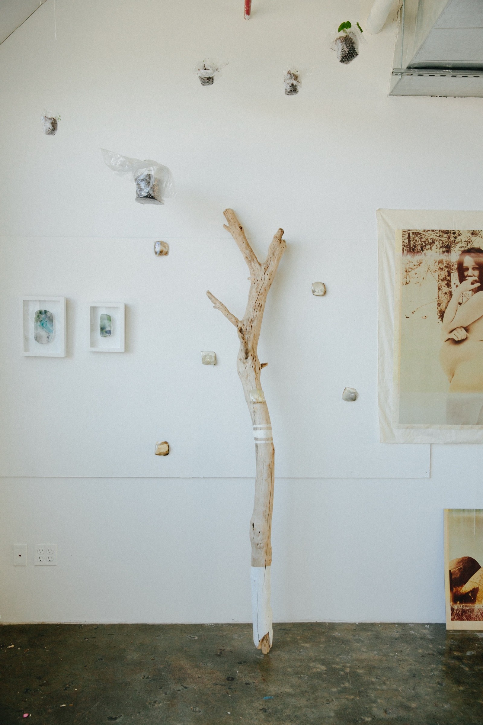 Photograph by Jacquelyne Pierson