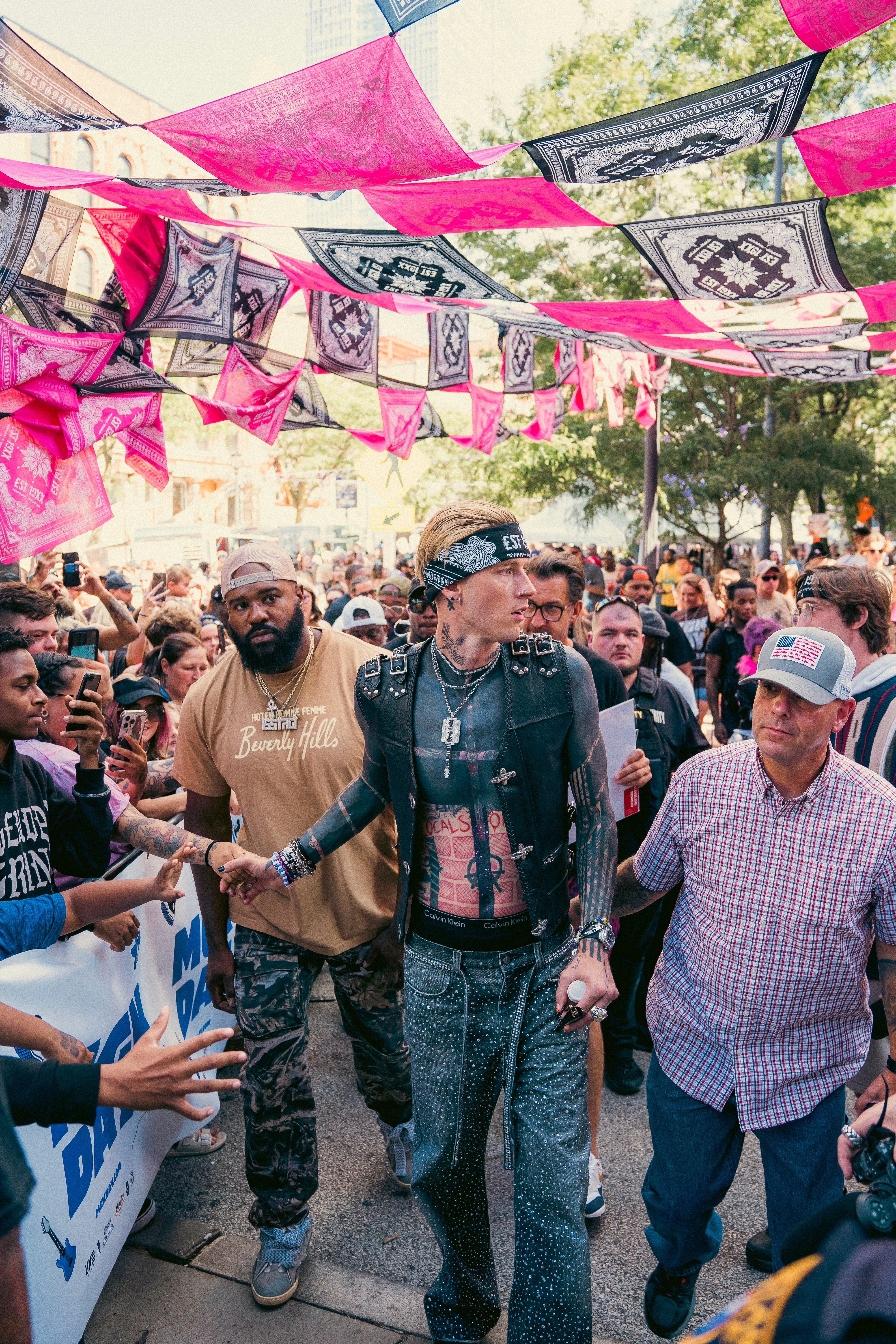 Dom Pérignon vineyards from the sky