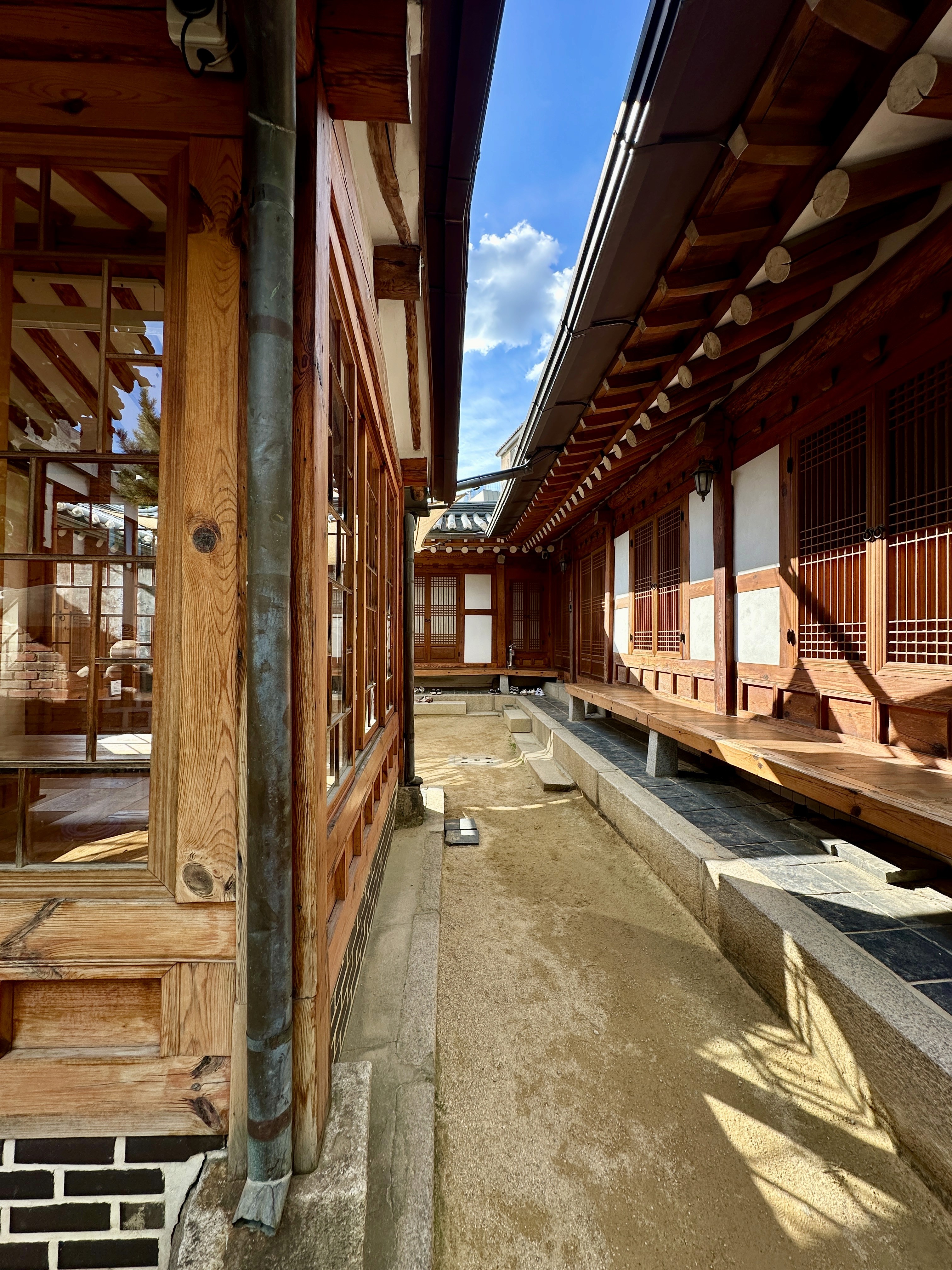 Urban Street Fashion Portrait