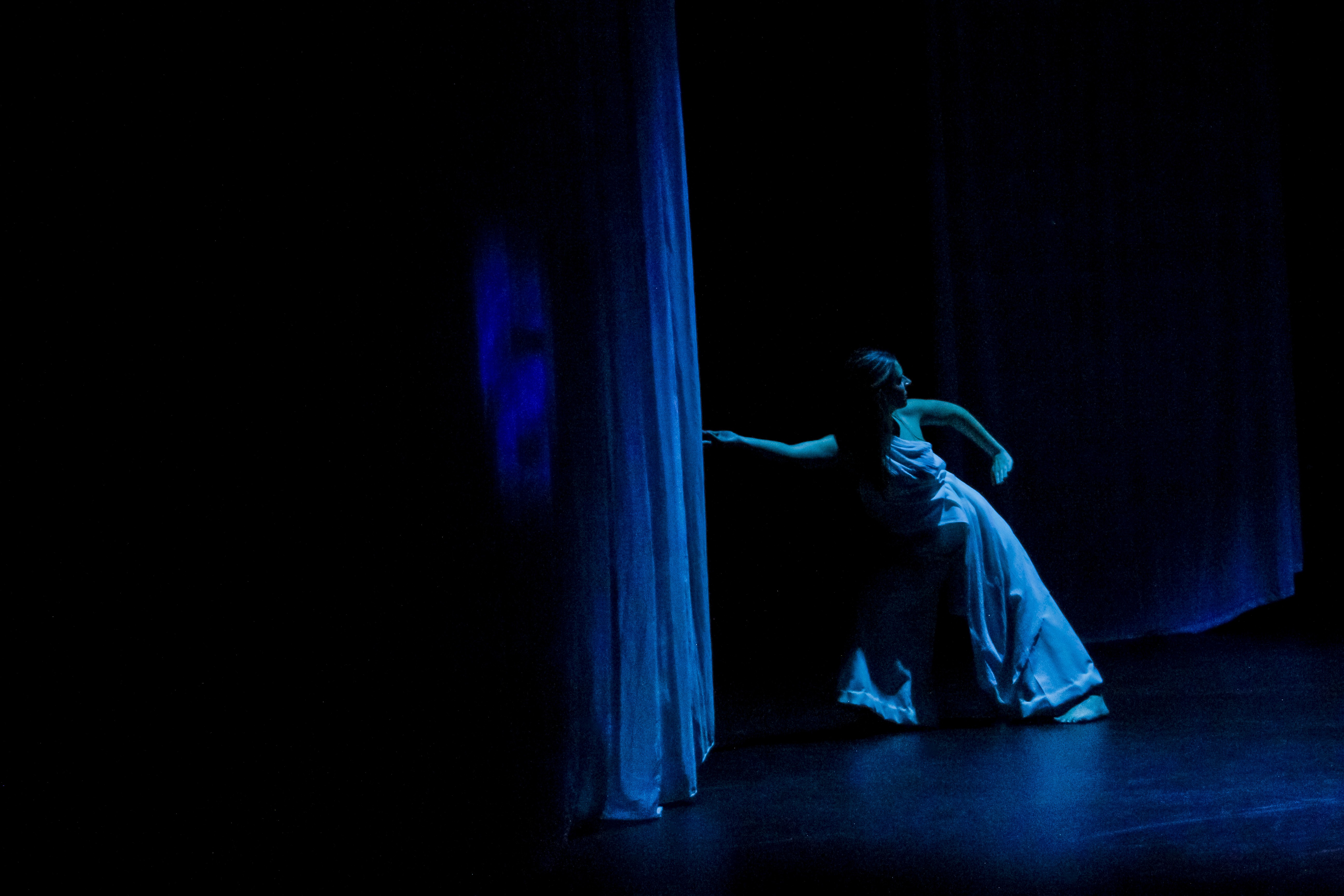 Laptop showing Bloomy UI