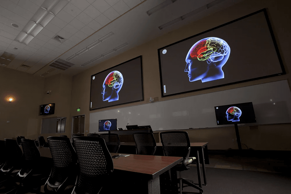 people sitting on chairs watching a game