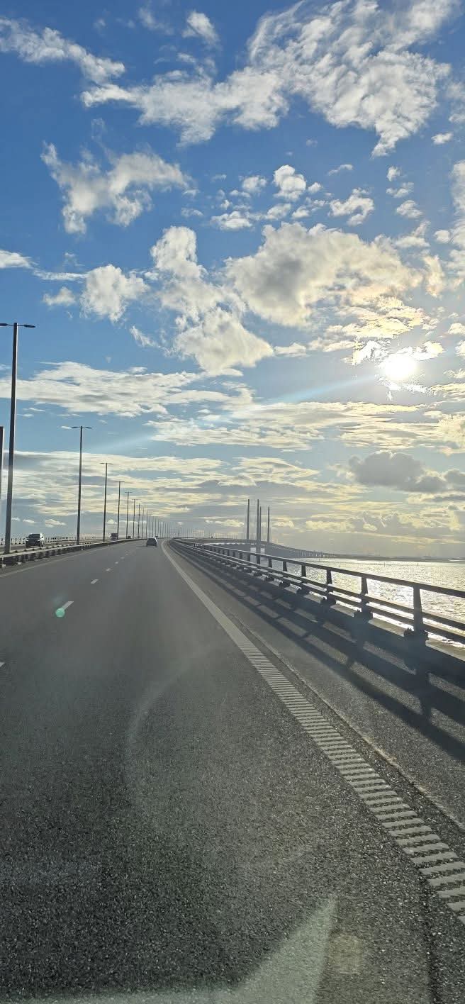 Långdistansflytt på väg genom Europa
