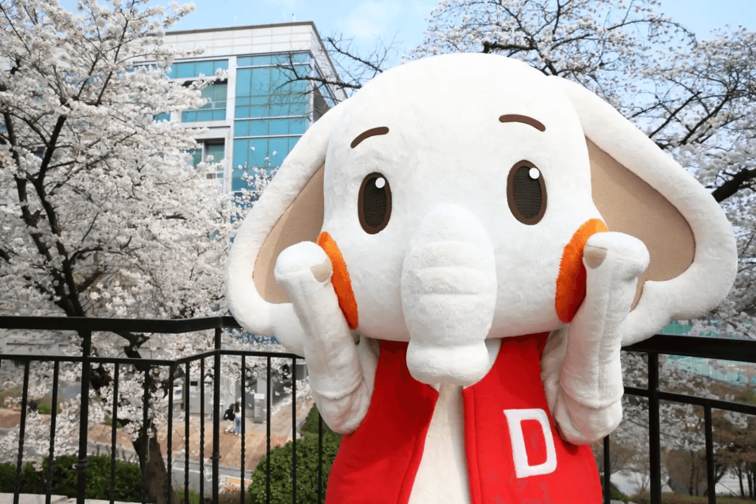 대학별 간판학과, 건국대 수의예과, 성균관대 반도체, 경희대 한의예과, 홍익대 건축학과