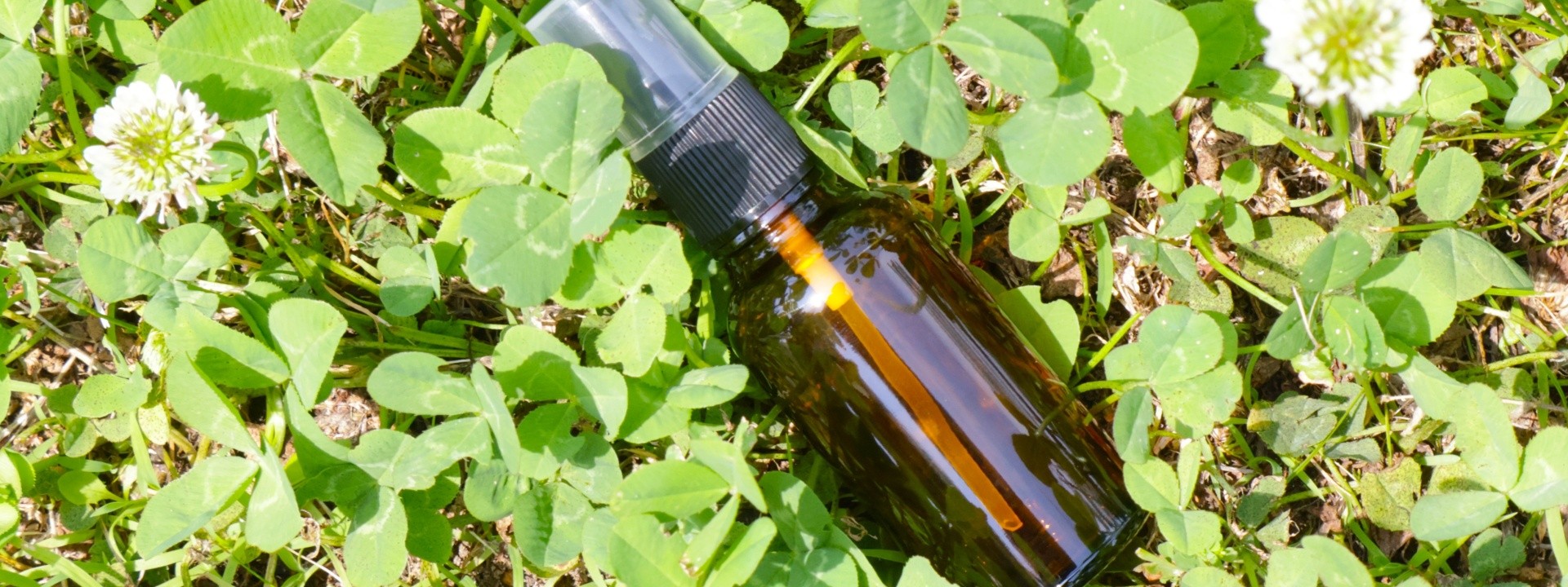 クローバーの上に置かれた茶色の瓶