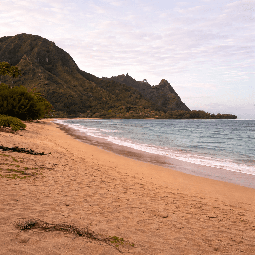 Company retreat to Kauai, Hawaii. Pictured on Tunnels Beach