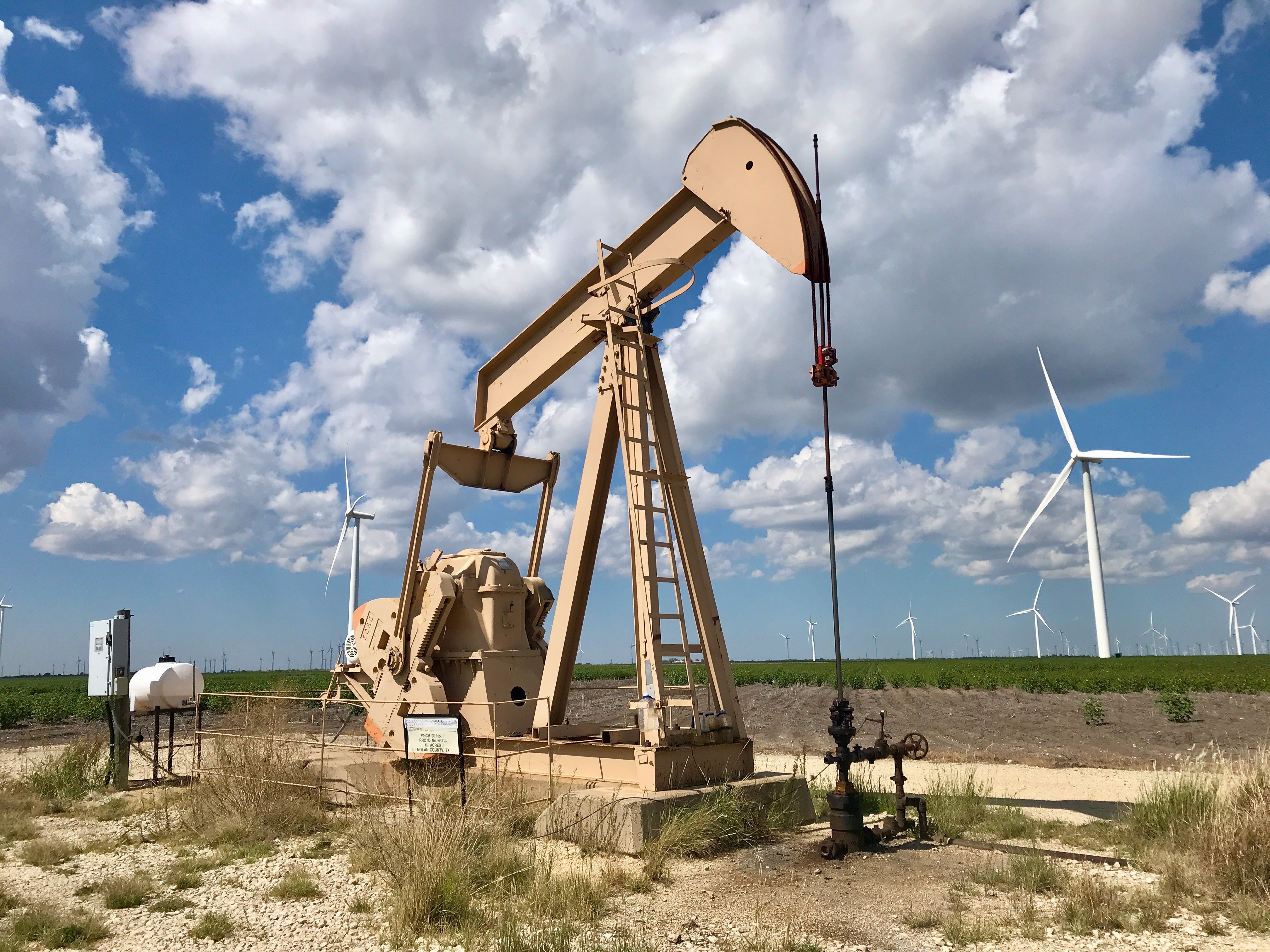 Oil