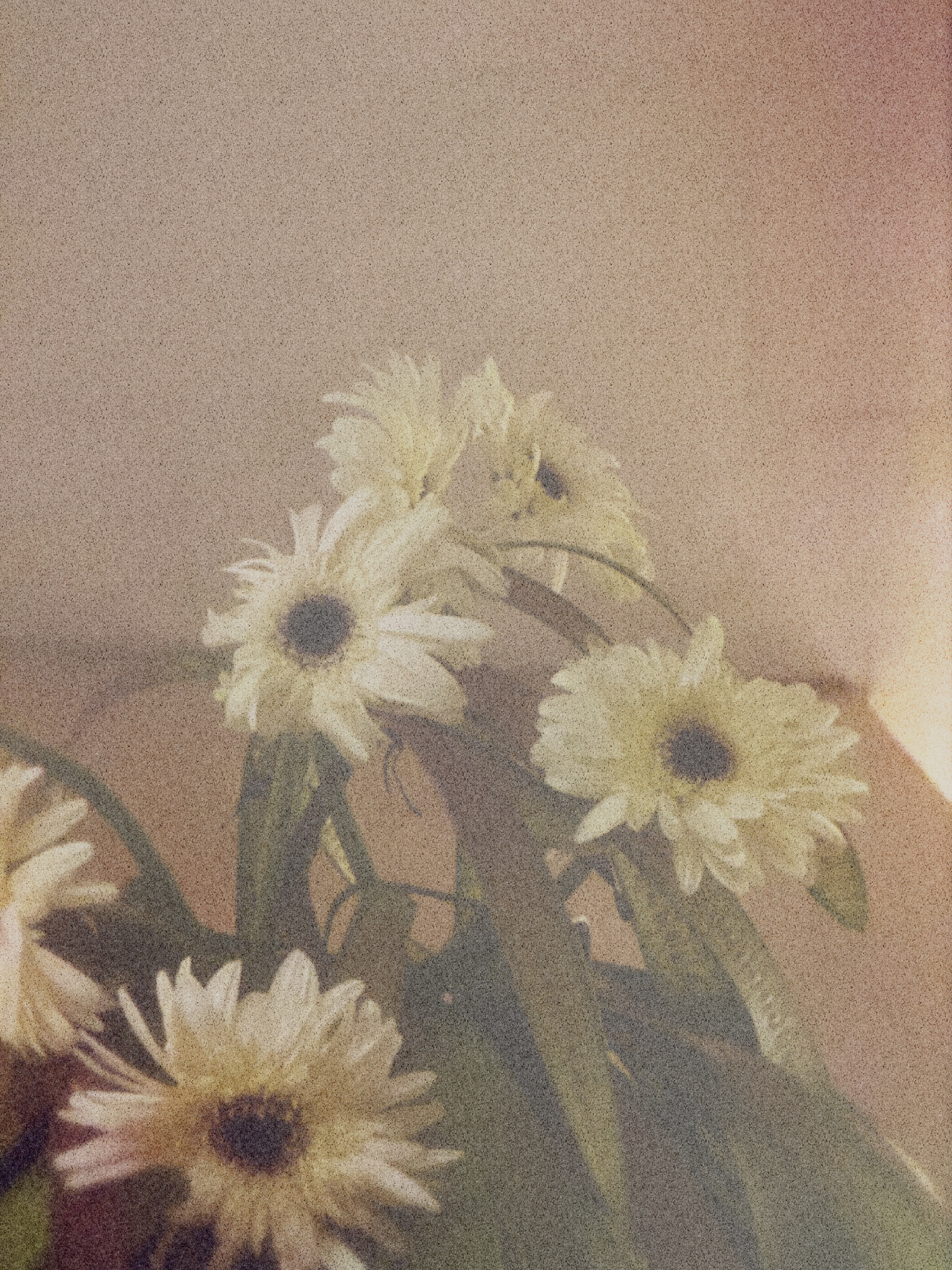 skool flowers