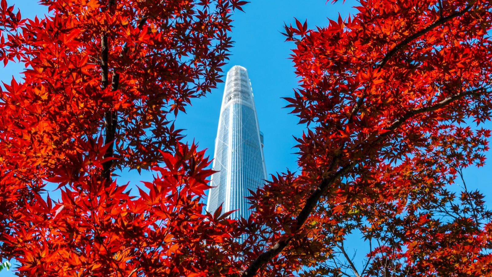 three brown wooden boat on blue lake water taken at daytime