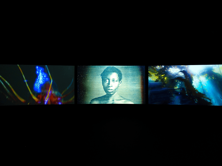 “Vertigo Sea” 2015 © Smoking Dogs Films; Courtesy of Smoking Dogs Films and Lisson Gallery.