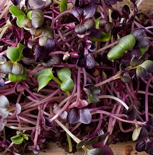 two people looking at a tablet and smiling